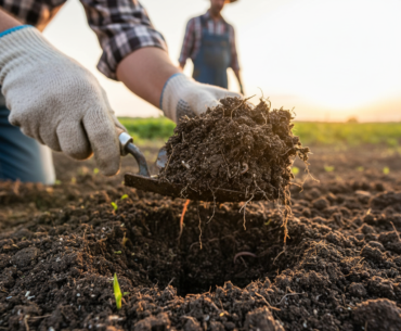Bekijk deze afbeelding van De Onzichtbare Hulp: Hoe Biologische Landbouw Koolstof Vastlegt en het Klimaat Redt op Bedrijf
